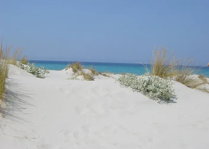 Konukevi Locazioni Brevi La Rosaviola Guest Teulada